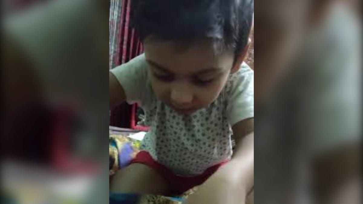 সোশ্যাল মিডিয়ায় ‘পিচ্ছি ভাইরাল ভিডিও’ ও ‘পিচ্ছি মেয়ে ভাইরাল ভিডিও’ ঝড়ের আসল রহস্য কী?
