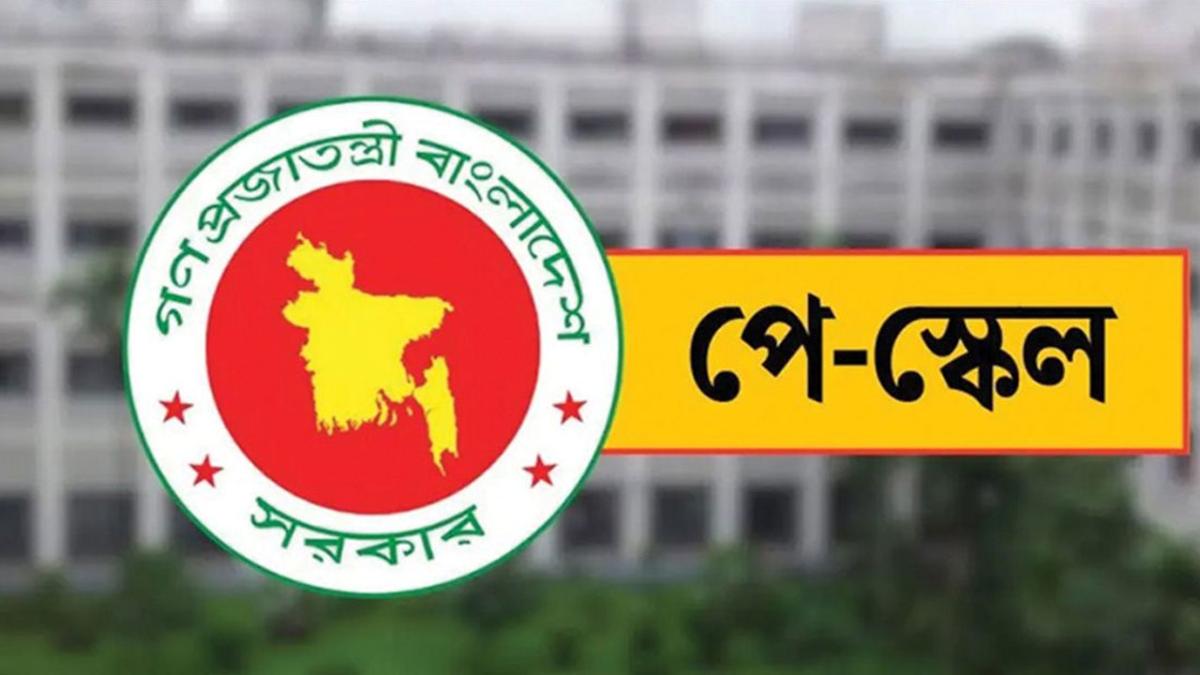 অক্টোবরের বেতনের সঙ্গে ৩ মাসের বকেয়া পাবেন সরকারি চাকরিজীবীরা, ৫ অক্টোবর থেকে পে ফিক্সেশন