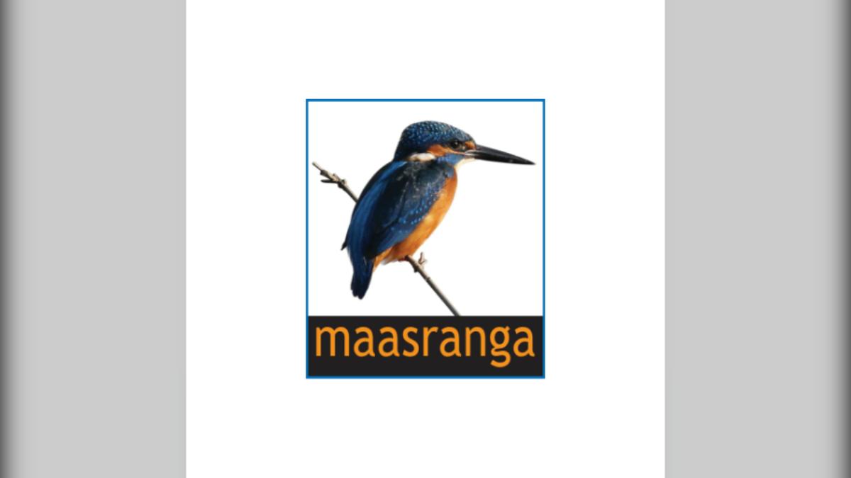 মাছরাঙা টিভির Instagram হ্যাকের ঘটনা: দুই অভিনেত্রীকে জড়িয়ে ফলোয়ার বাড়ানো নাকি অন্য কিছু?
